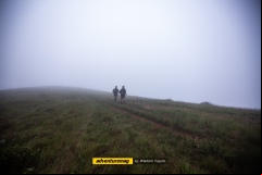 Boi-Preto-2024_WT_0100